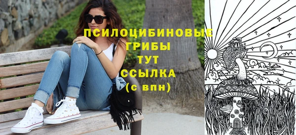дживик Аркадак