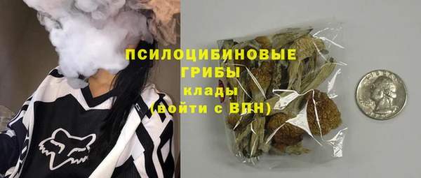 PSILOCYBIN Тихорецк
