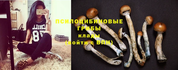 мяу мяу мука Балабаново